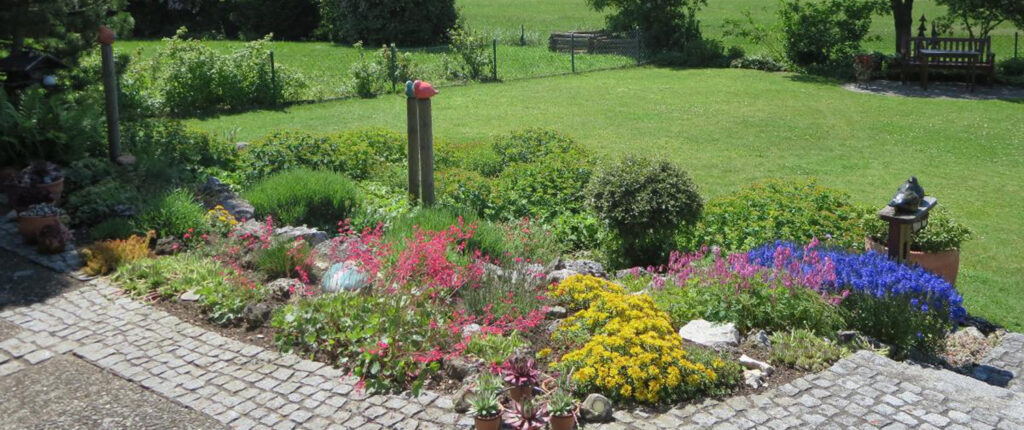 Blumen blühen im Garten