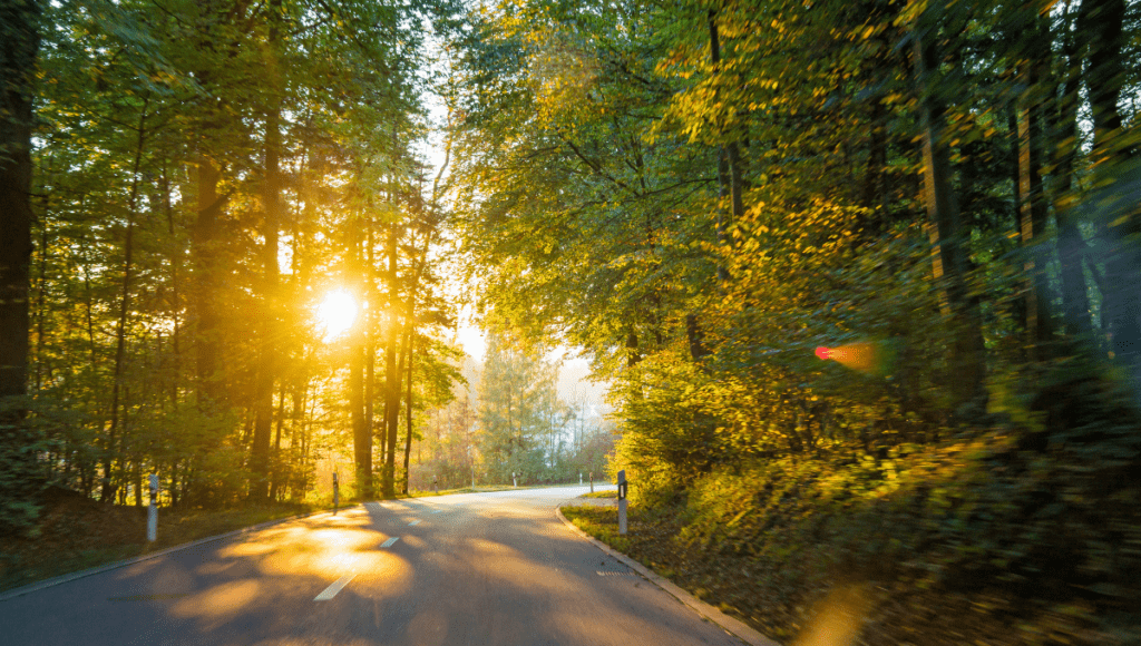 Die Sonne geht am Ende einer Waldstraße auf.